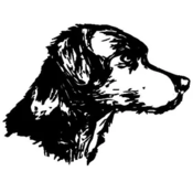 Pattern Dog