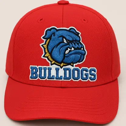 Sports team cap with embroidered logo