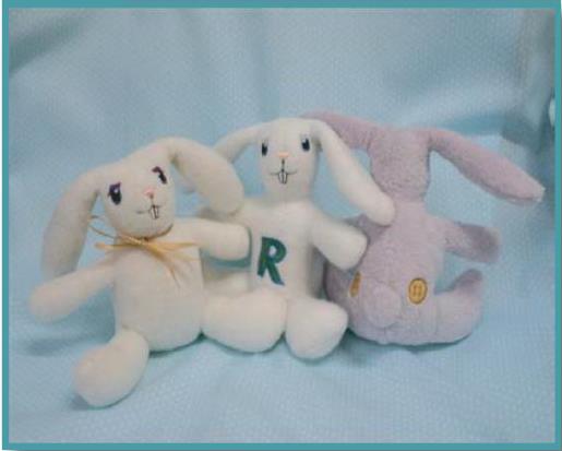 Stuffed Rabbits