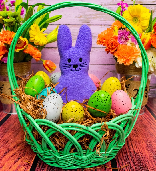 Stuffed Fleece Bunny