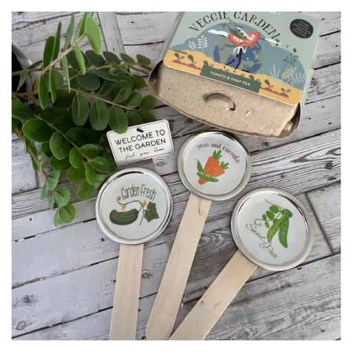 Mason Jar Lid Garden Stakes/ Vector Art