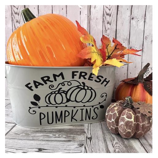 Farm Fresh Pumpkin Container/SVG