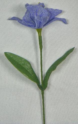 Procedure for creating the 3D-FSL Orchid Flower