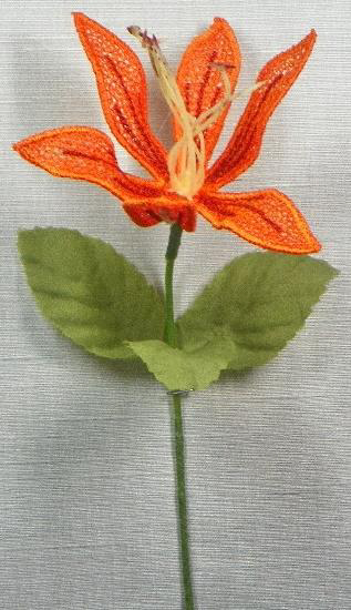 Procedure for creating the 3D-FSL Tiger Lily Flower