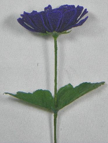 Procedure for creating the 3D-FSL Aster Flower