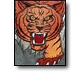 Choosing A Digitizer