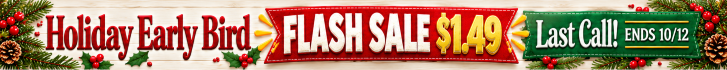 Holiday Flash $1.49